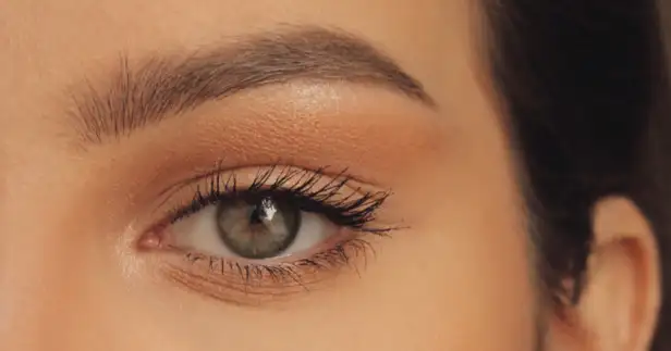 Eyebrow Tinting Image